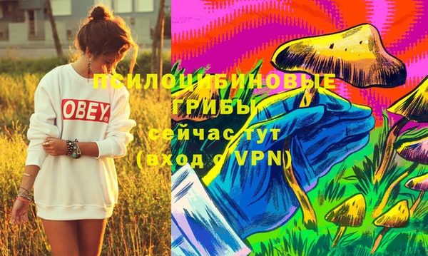 PSILOCYBIN Остров
