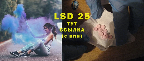 хмурый Осинники