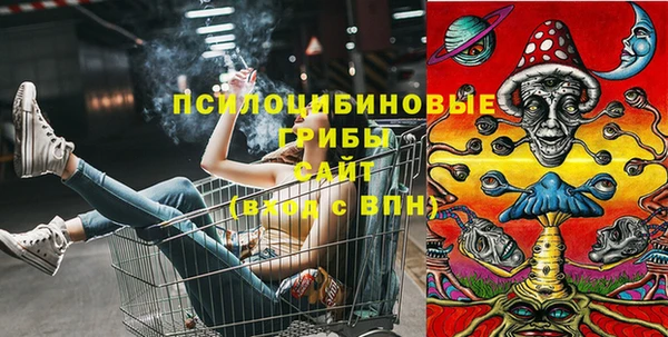 меф Пересвет
