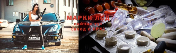 хмурый Осинники