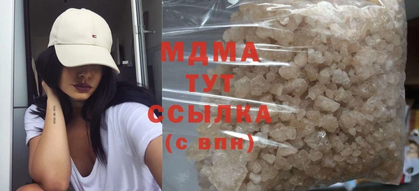 прущие грибы Няндома